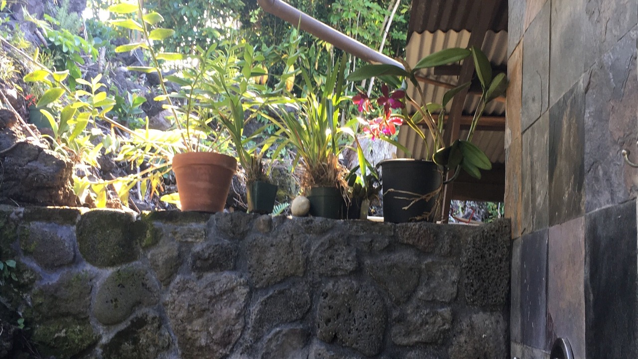 Photo of Outdoor in Honalo