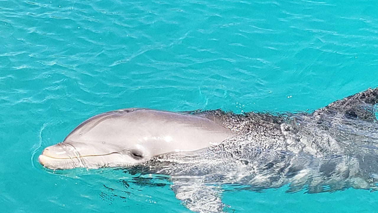 Photo of Outdoor in Isla del Sol