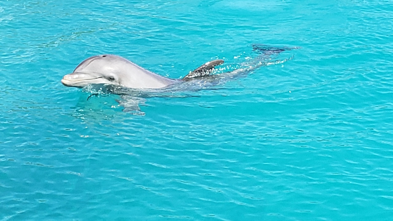 Photo of Outdoor in Isla del Sol