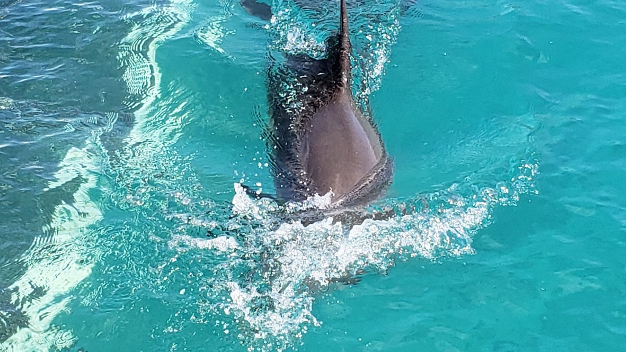 Photo of Outdoor in Isla del Sol