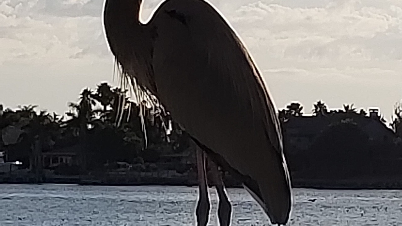 Photo of Others in Isla del Sol