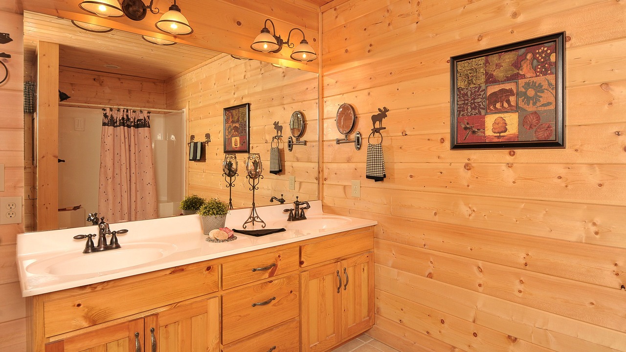 Photo of Bathroom in Smoky Mountains