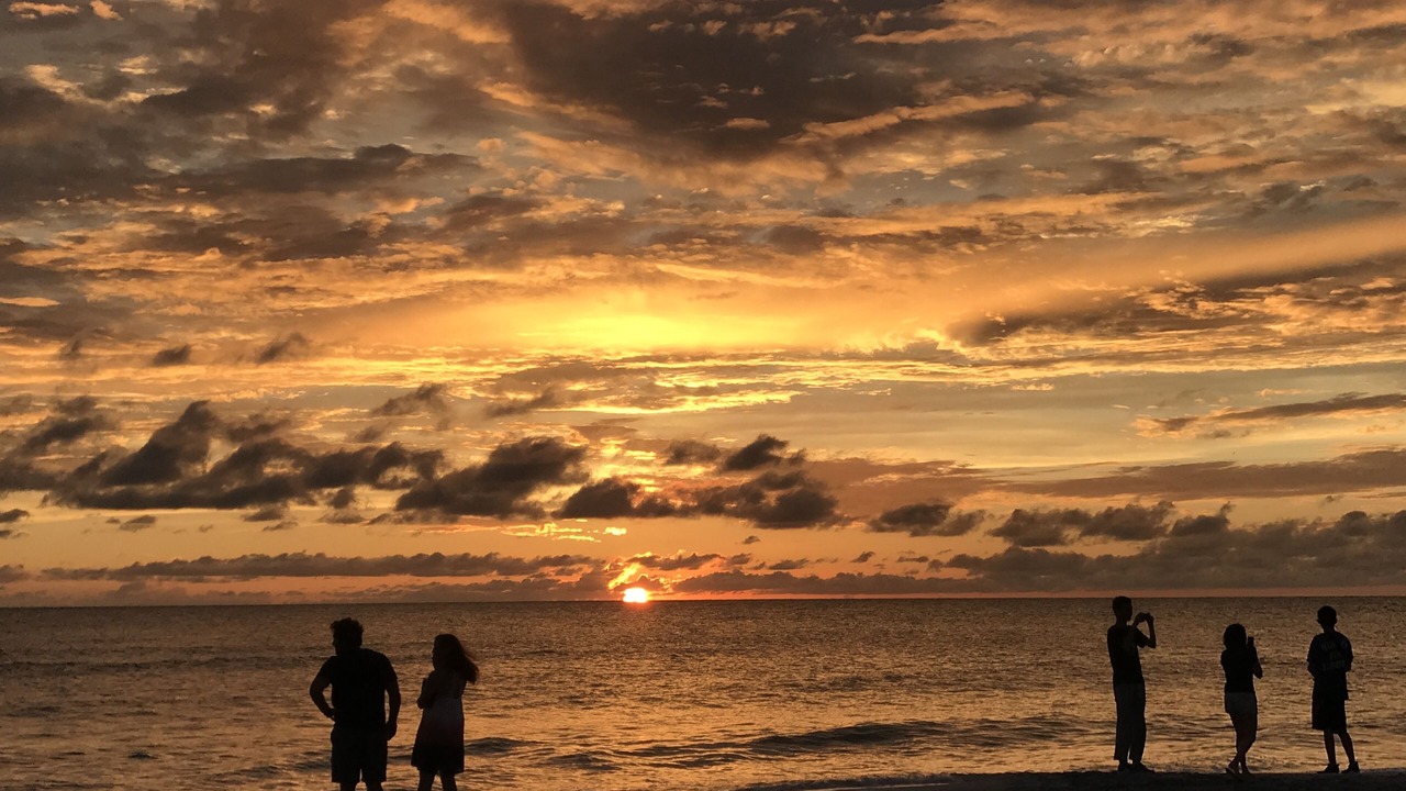 Photo of Others in Indian Rocks Beach