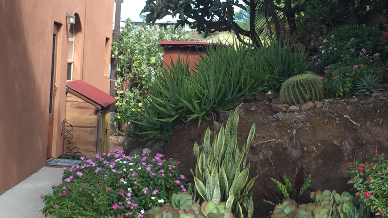 Photo of Others in Kohala Estates
