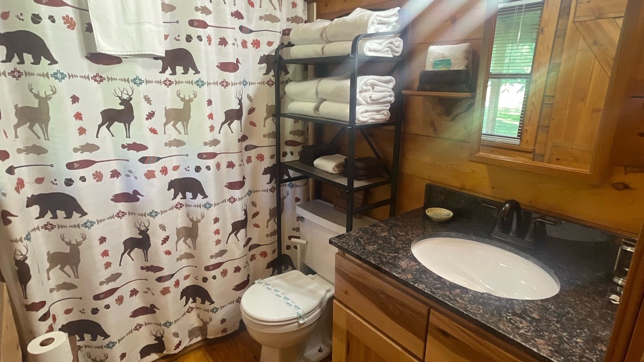 Photo of Bathroom in Townsend