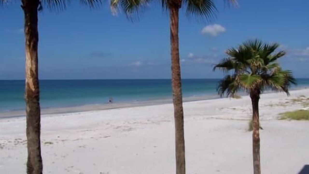 Photo of Others in Longboat Key