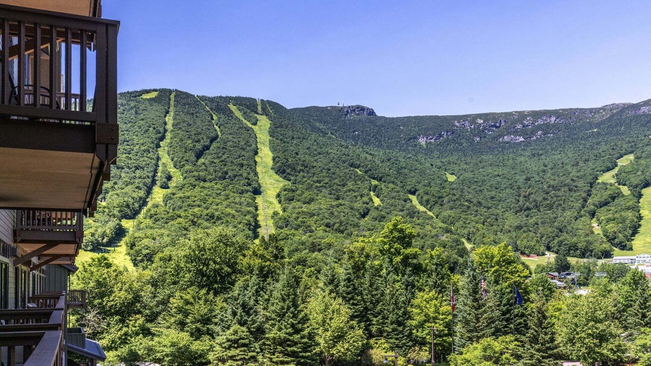 Photo of Others in Stowe Area