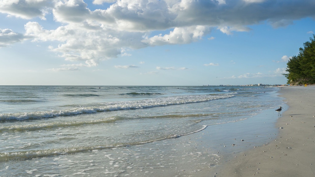 Photo of Others in Sunset Beach