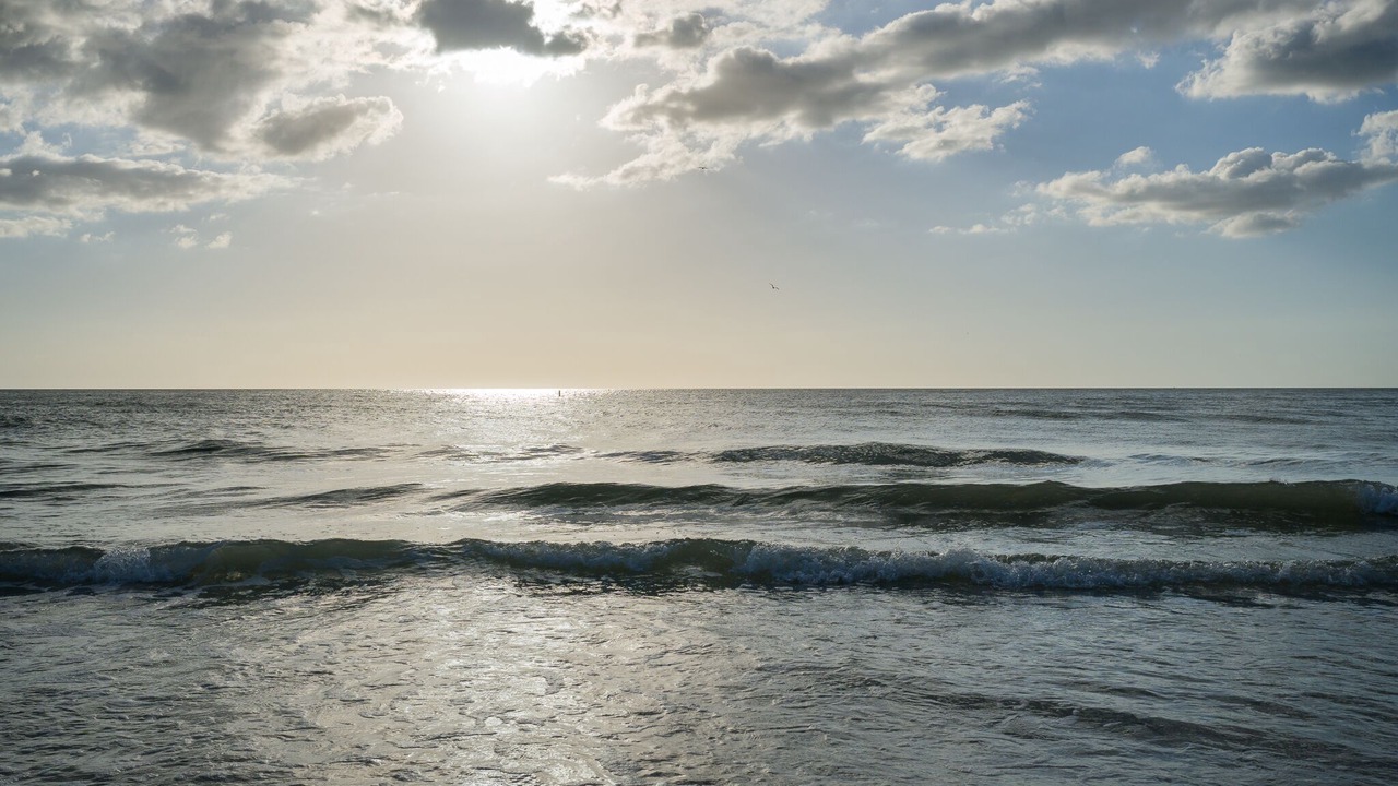 Photo of Others in Sunset Beach