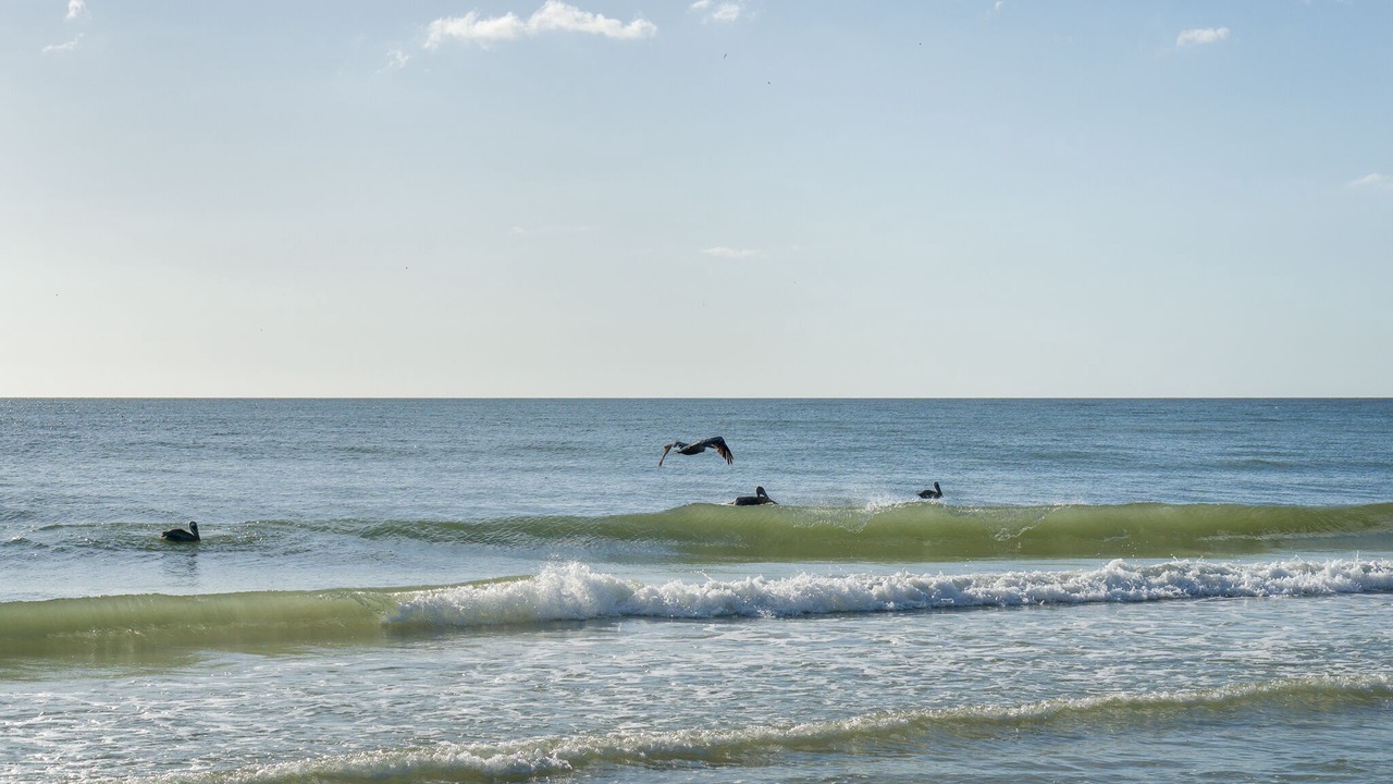 Photo of Others in Sunset Beach