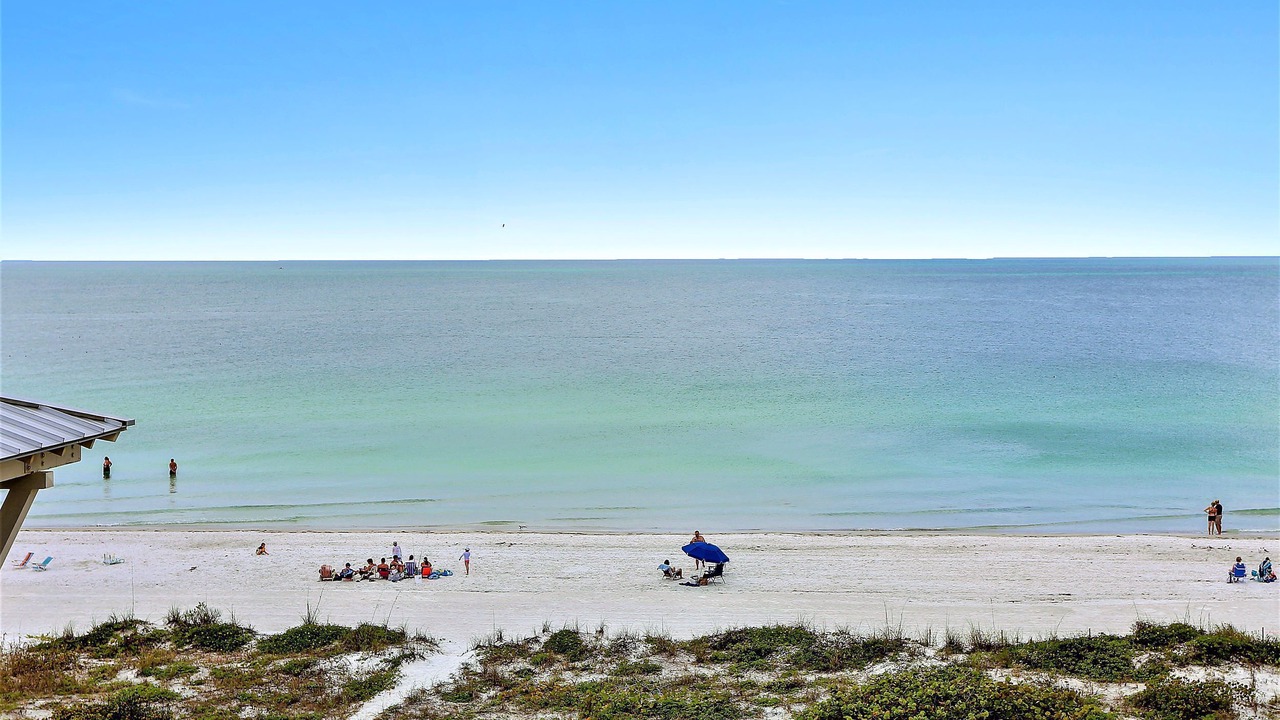 Photo of Others in Indian Rocks Beach