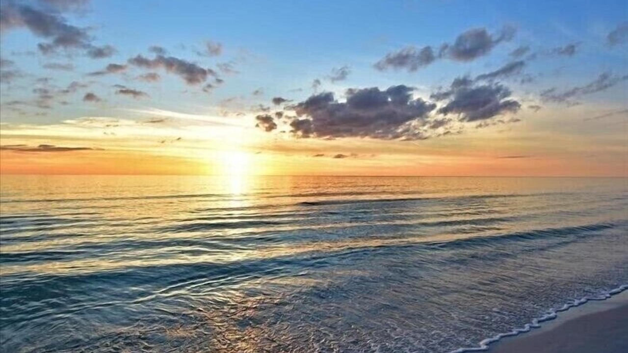 Photo of Others in Bradenton Beach