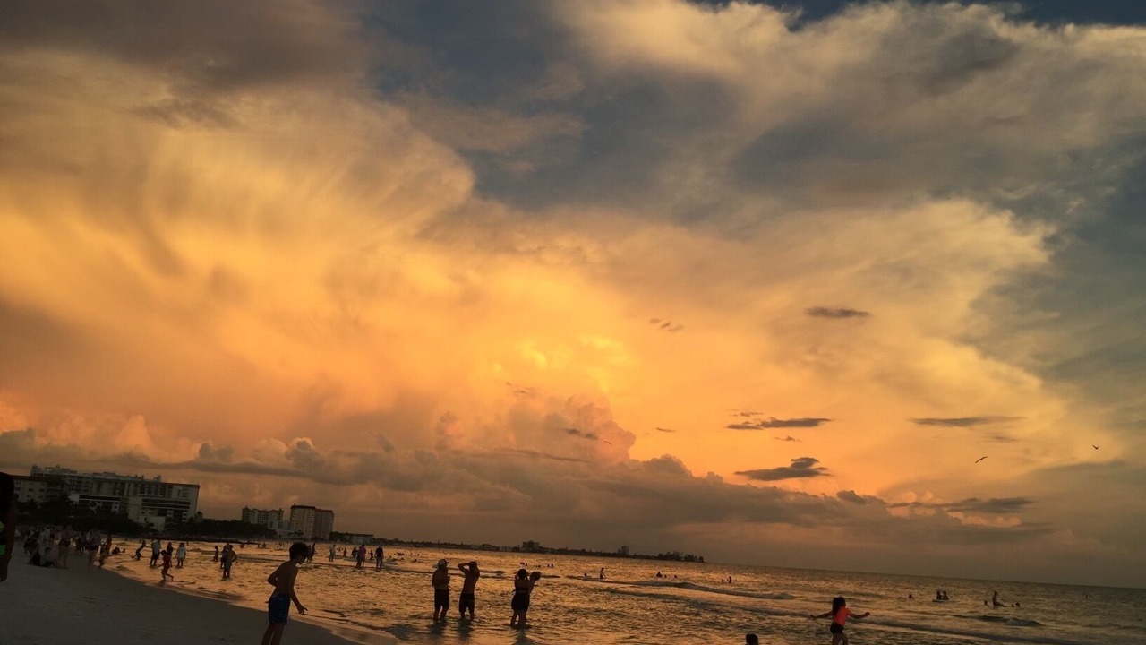 Photo of Others in Sarasota