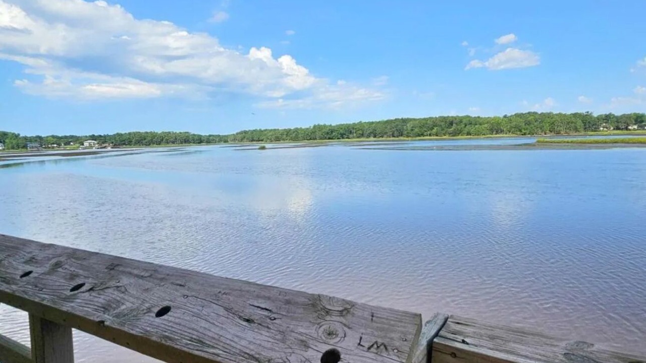 Photo of Others in Shallotte