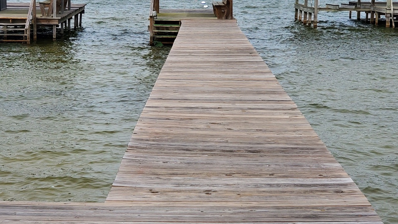 Photo of Others in White Lake