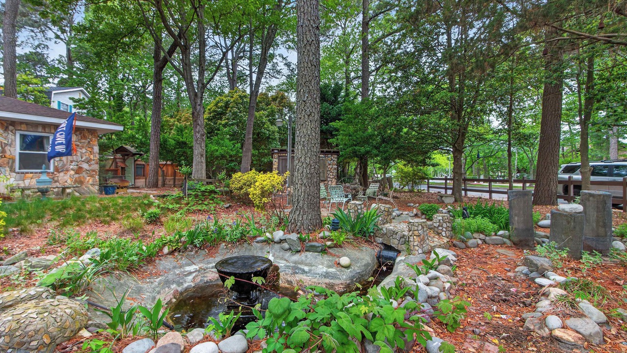Photo of Outdoor in Caine Woods
