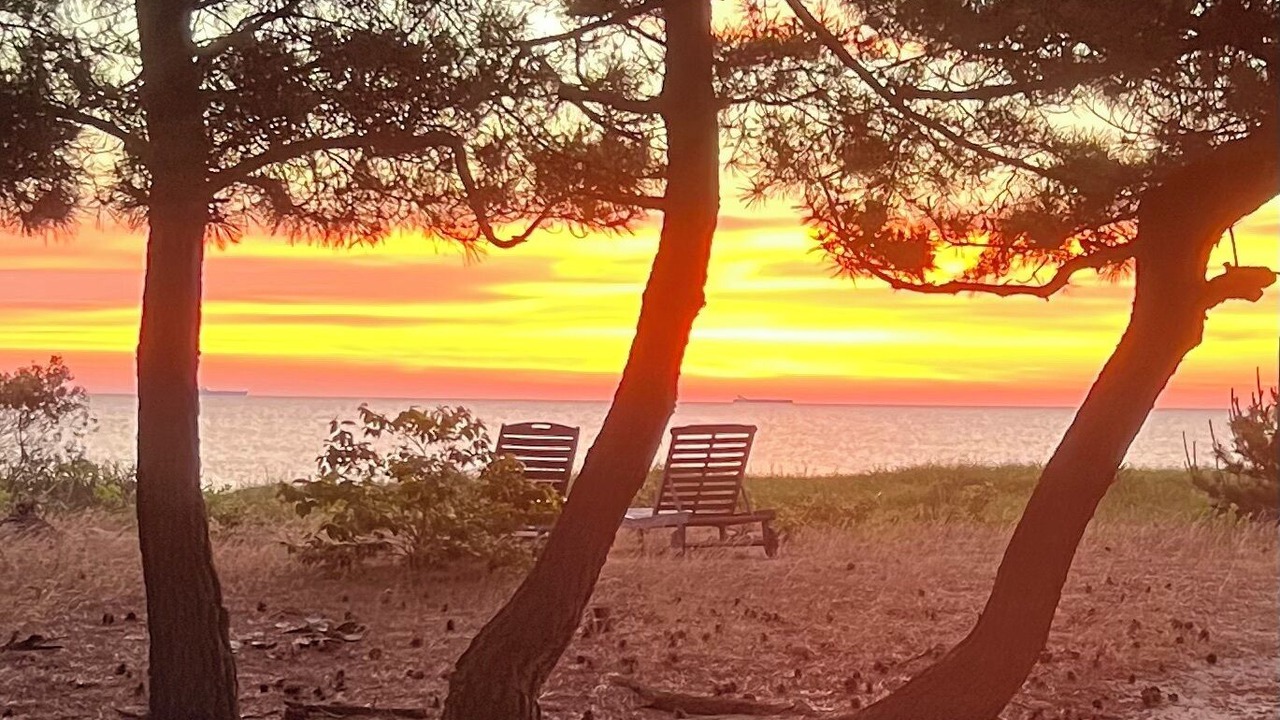 Photo of Outdoor in Slaughter Beach
