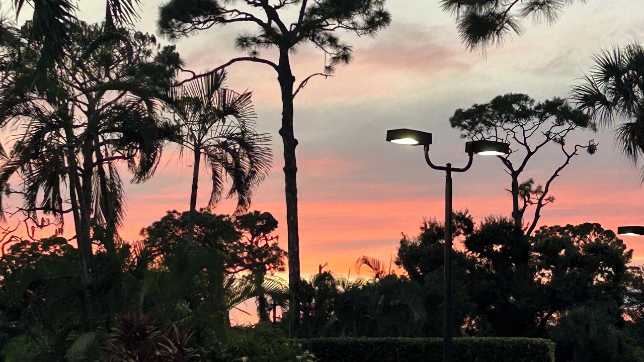 Photo of Outdoor in Sarasota