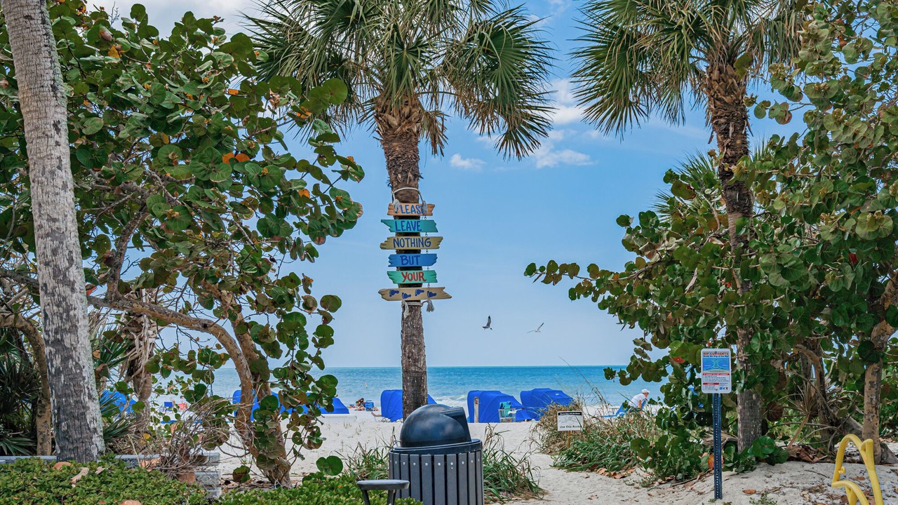 Photo of Others in Indian Rocks Beach
