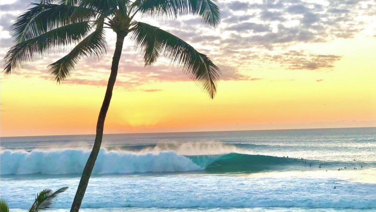 Photo of Others in Pupukea