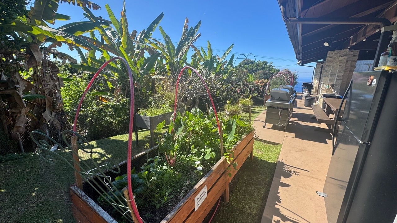Photo of Outdoor in Honalo