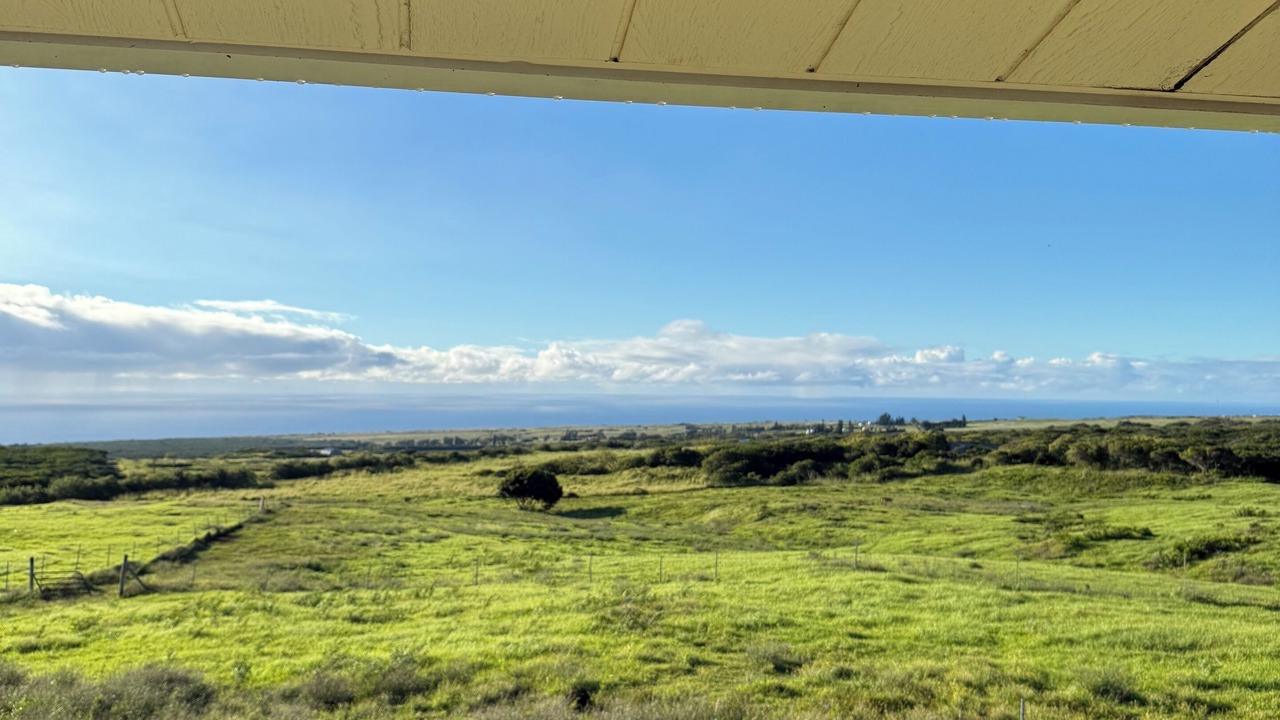 Photo of Others in Naalehu