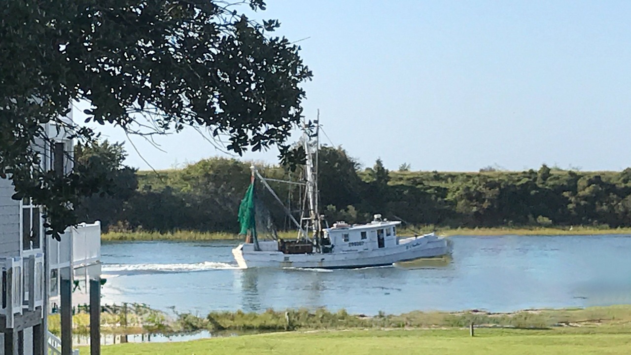 Photo of Others in Shallotte