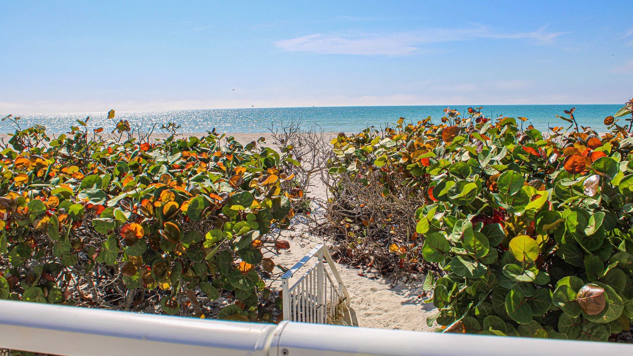 Photo of Others in Belleair Beach