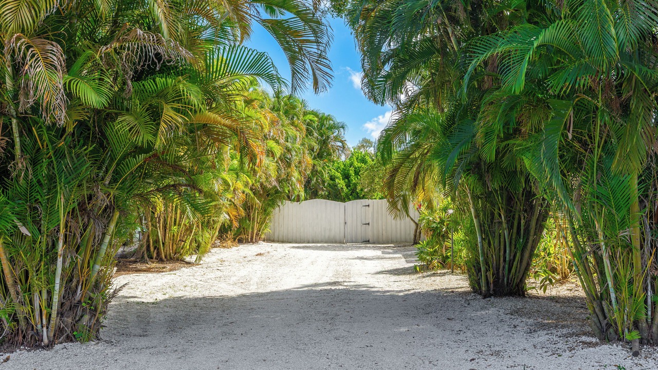 Photo of Outdoor in South Gate Ridge