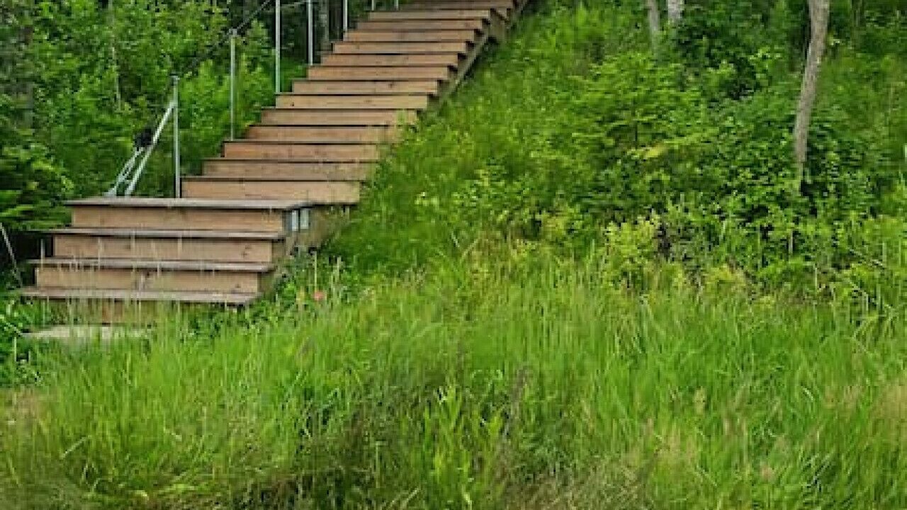Photo of Outdoor in Gouldsboro