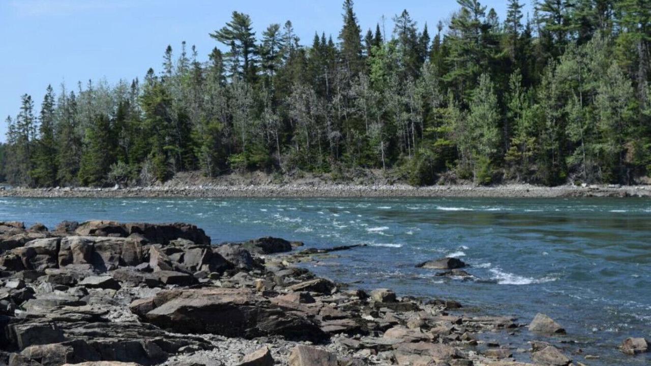 Photo of Others in Gouldsboro