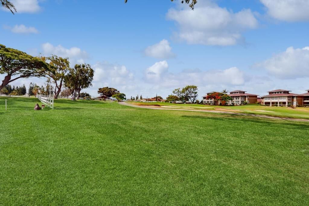 Photo of Outdoor in Waikoloa Village