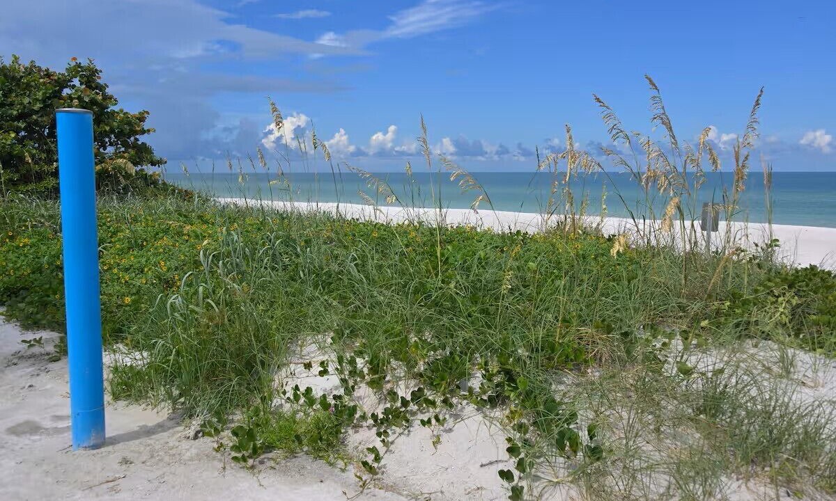 Photo of Others in Belleair Beach