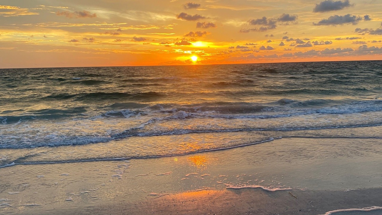Photo of Others in Belleair Beach