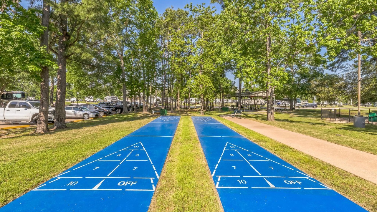 Photo of Outdoor in Spring