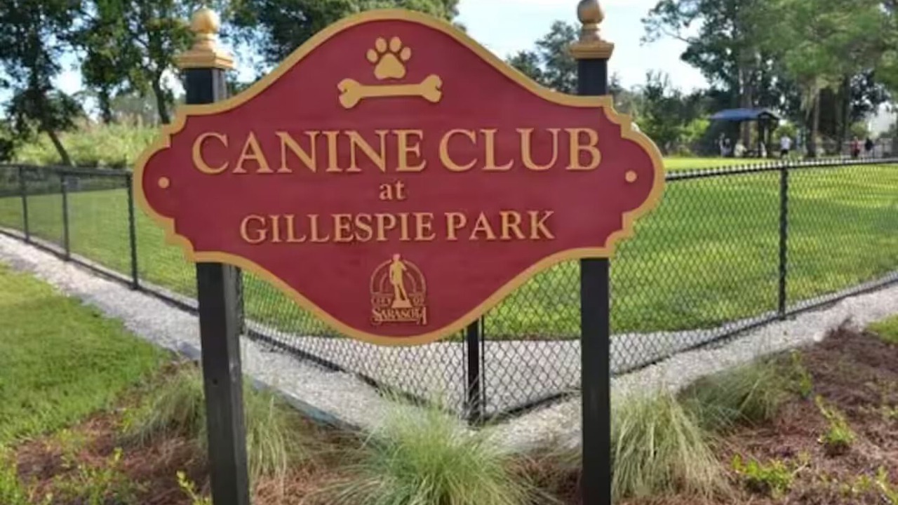 Photo of Outdoor in Gillespie Park