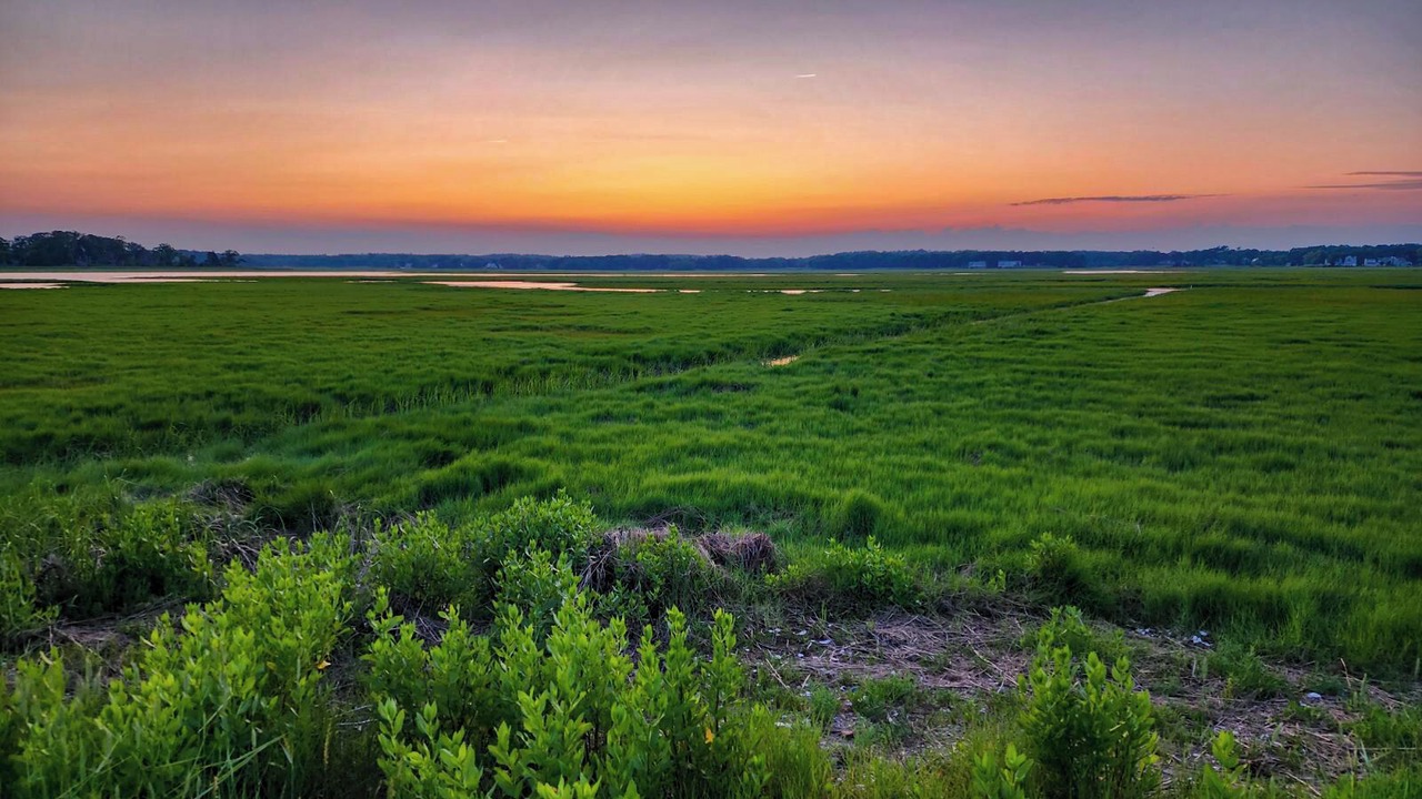 Photo of Others in Green Harbor-Cedar Crest