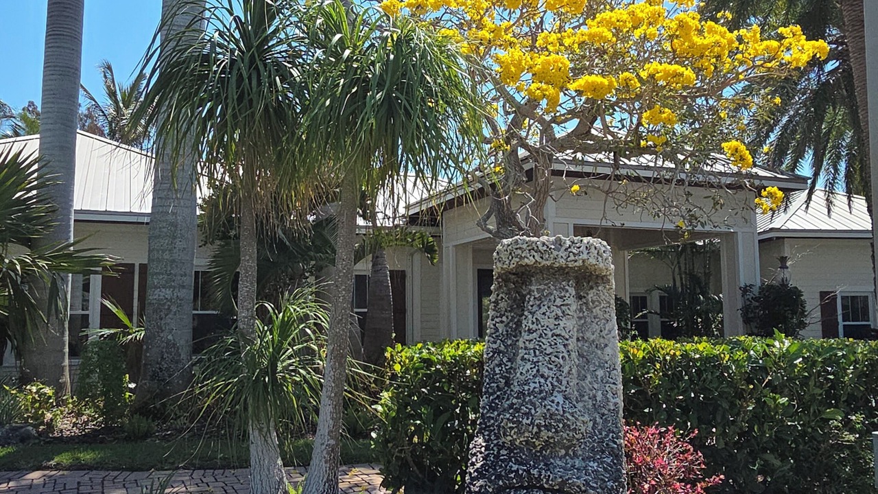 Photo of Outdoor in Anna Maria