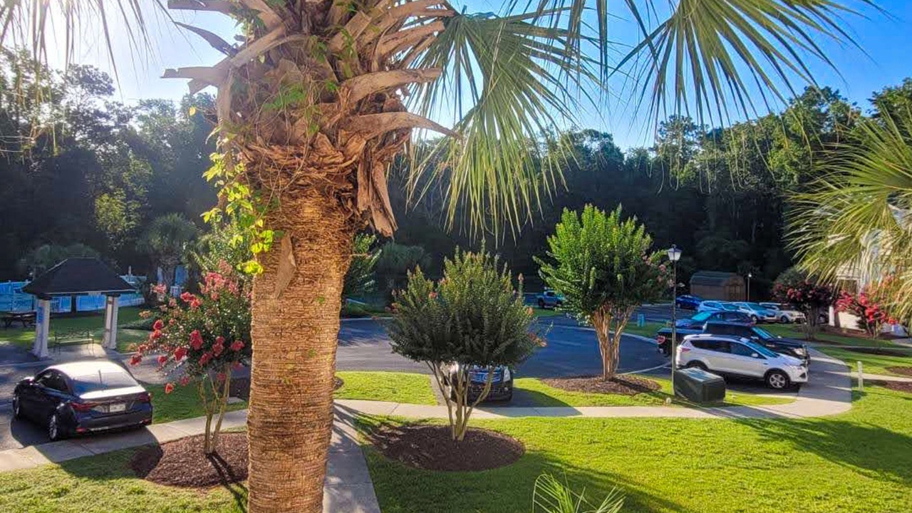 Photo of Outdoor in Longs