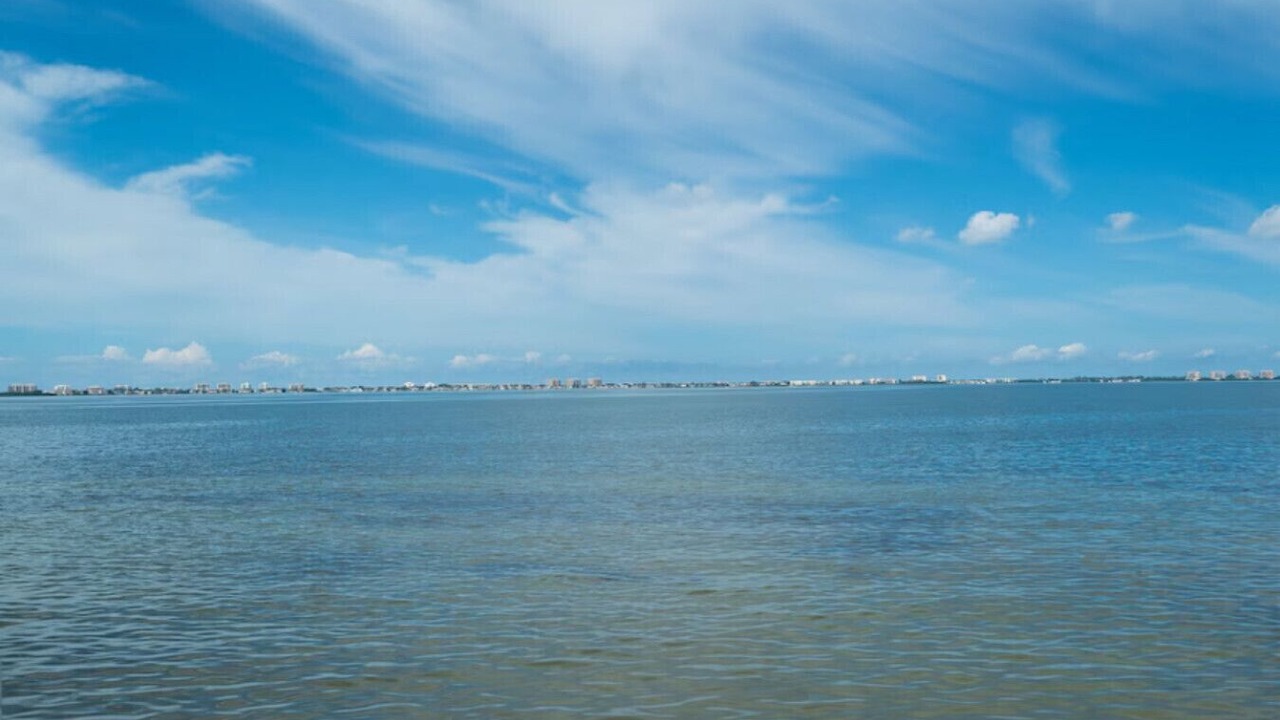 Photo of Others in Indian Beach Sapphire Shores