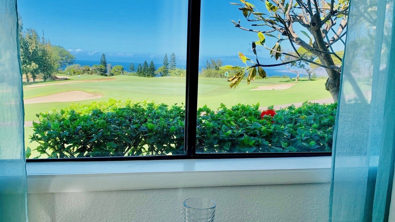 Photo of Others in Waikoloa Village