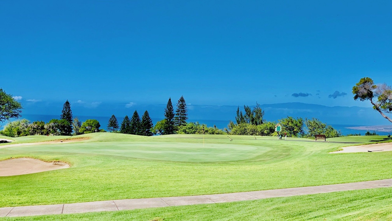 Photo of Others in Waikoloa Village