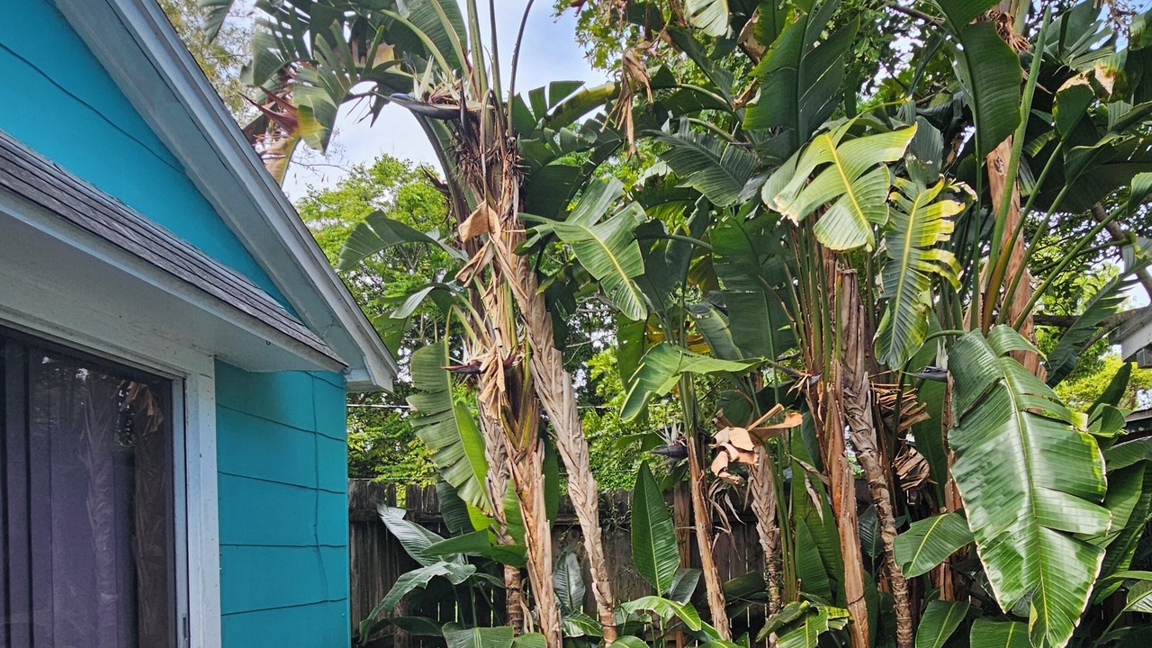 Photo of Outdoor in Clearwater