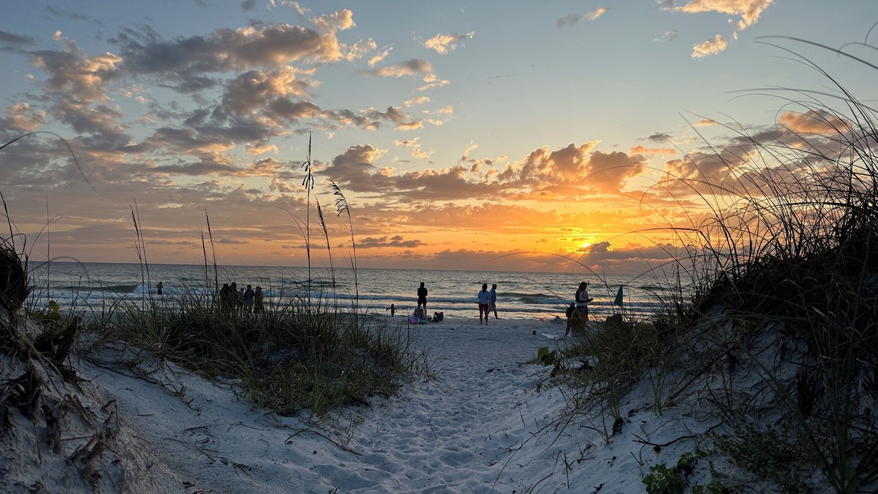 Photo of Others in Indian Rocks Beach