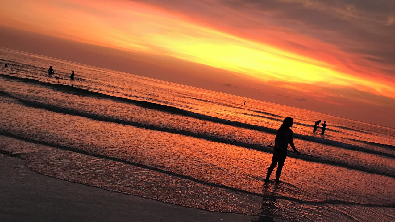 Photo of Others in Indian Rocks Beach