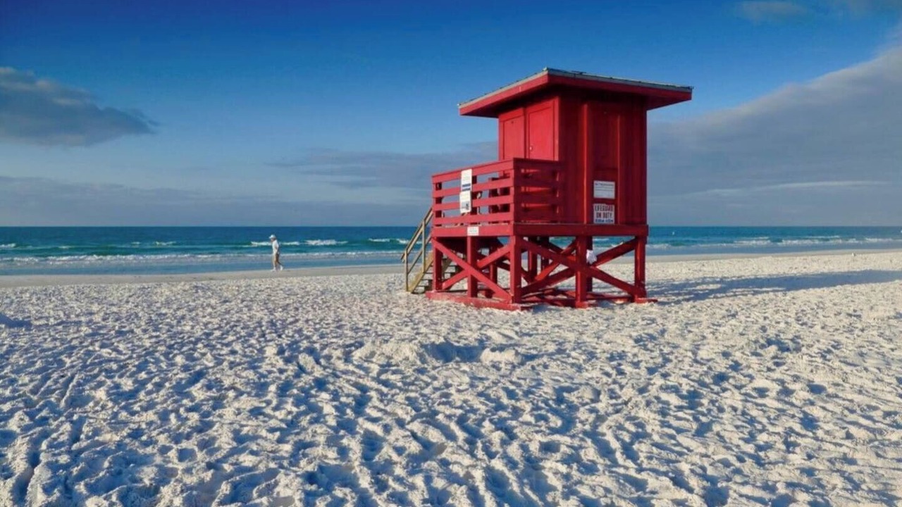 Photo of Others in Sarasota