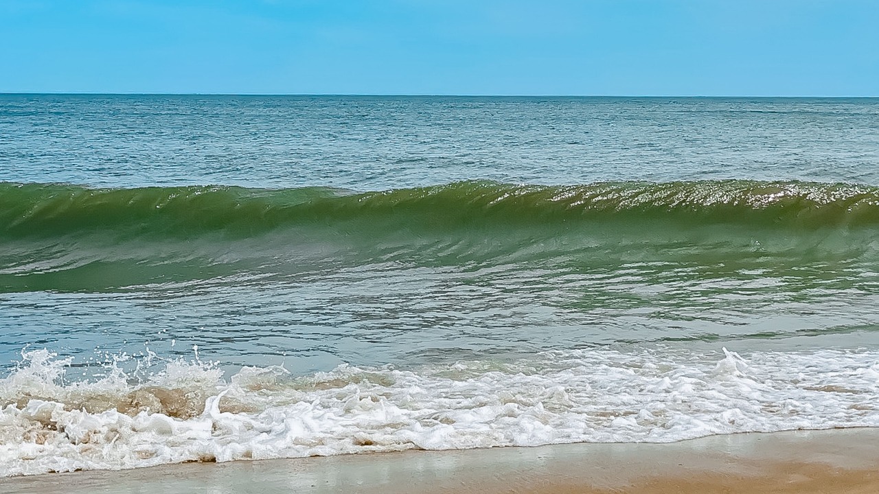 Photo of Others in Bethany Beach