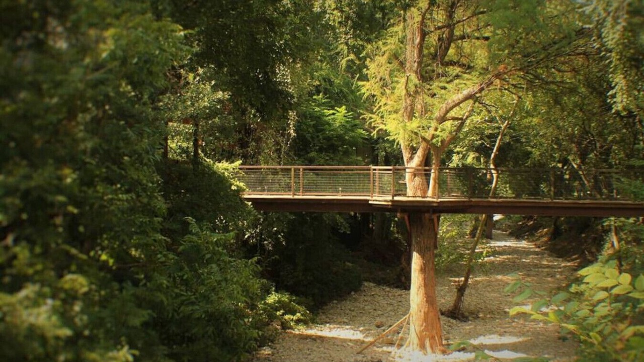 Photo of Others in New Braunfels