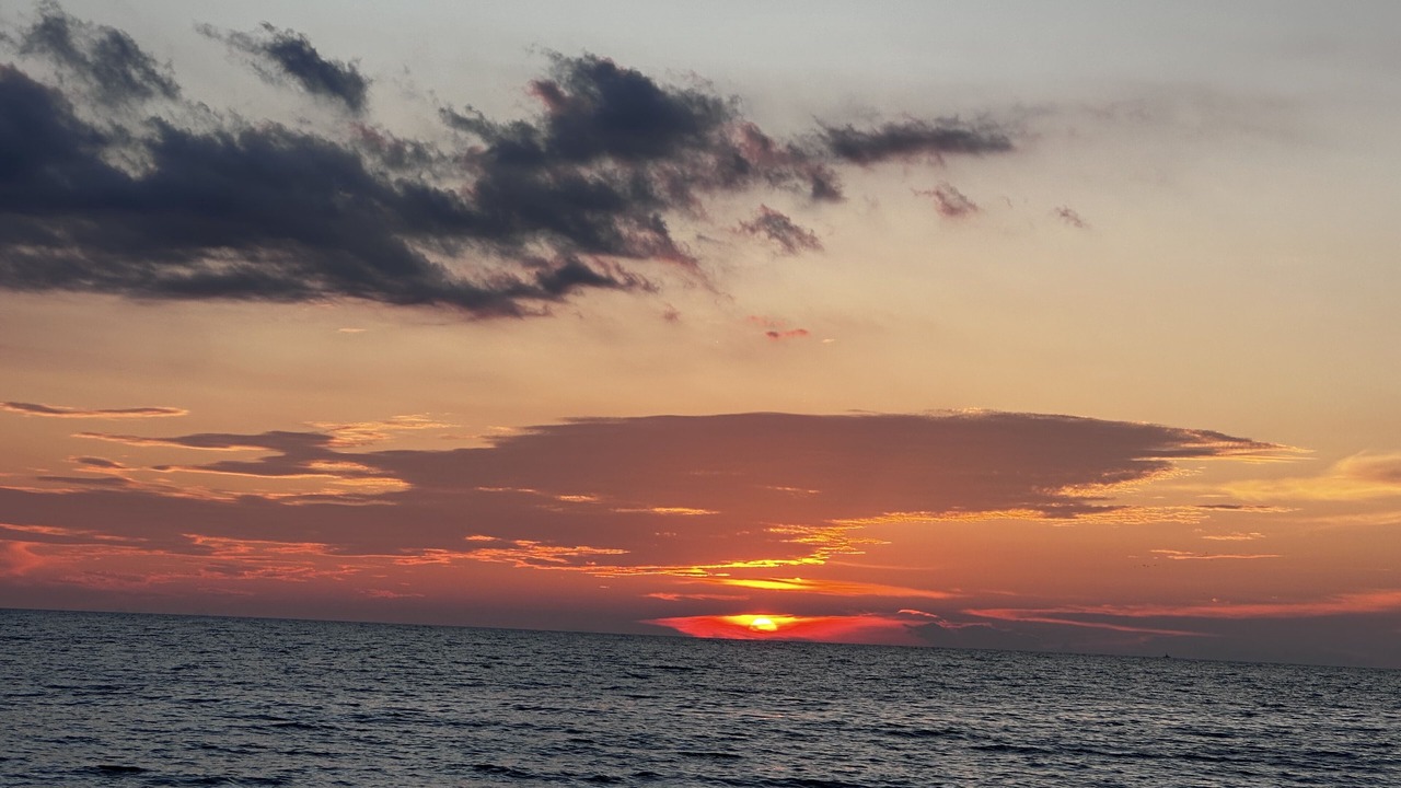 Photo of Others in Longboat Key