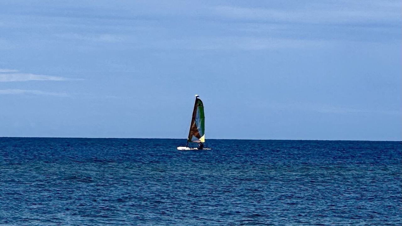Photo of Others in Longboat Key